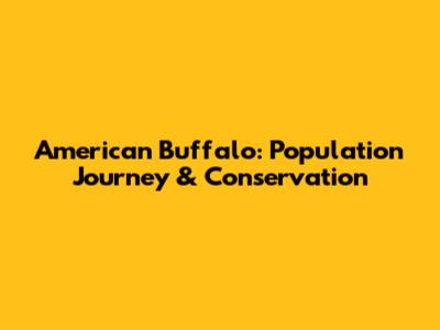 American Buffalo: Population Journey & Conservation