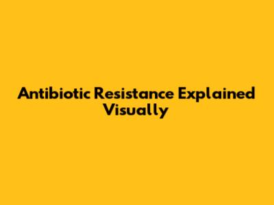 Antibiotic Resistance Explained Visually