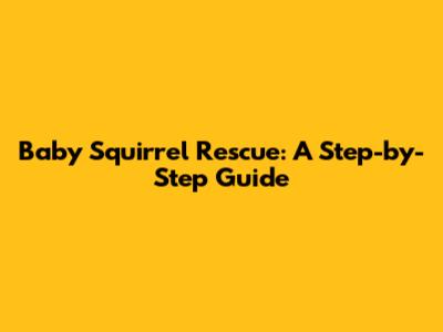 Baby Squirrel Rescue: A Step-by-Step Guide