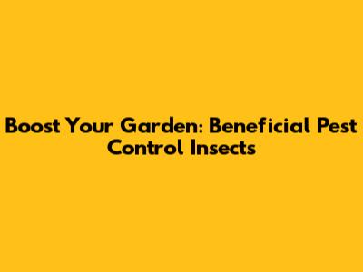 Boost Your Garden: Beneficial Pest Control Insects