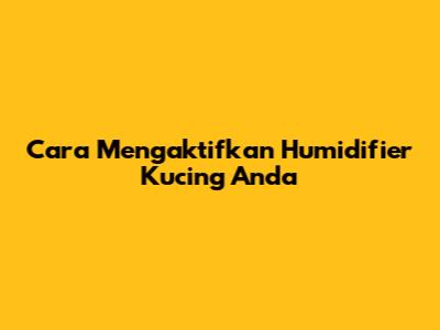 Cara Mengaktifkan Humidifier Kucing Anda