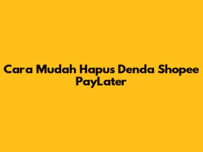 Cara Mudah Hapus Denda Shopee PayLater