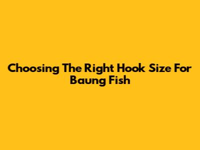 Choosing The Right Hook Size For Baung Fish