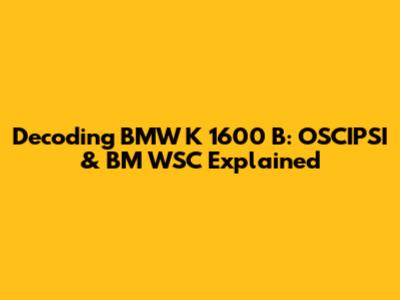 Decoding BMW K 1600 B: OSCIPSI & BM WSC Explained