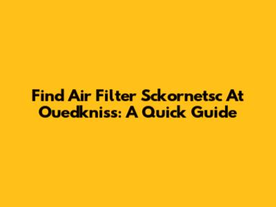 Find Air Filter Sckornetsc At Ouedkniss: A Quick Guide