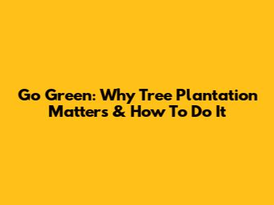Go Green: Why Tree Plantation Matters & How To Do It