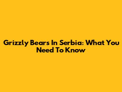 Grizzly Bears In Serbia: What You Need To Know