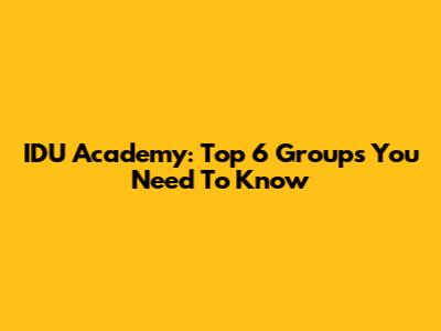 IDU Academy: Top 6 Groups You Need To Know