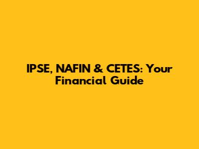 IPSE, NAFIN & CETES: Your Financial Guide