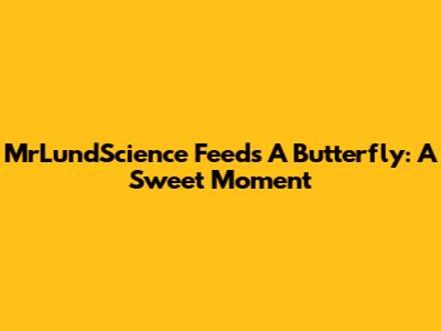 MrLundScience Feeds A Butterfly: A Sweet Moment
