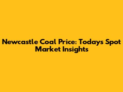 Newcastle Coal Price: Today's Spot Market Insights