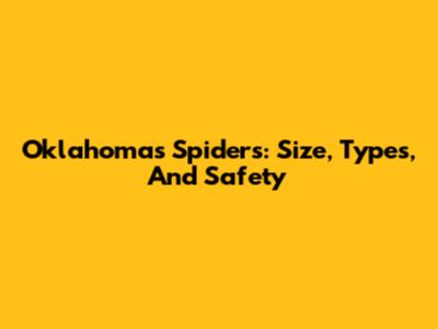 Oklahoma's Spiders: Size, Types, And Safety