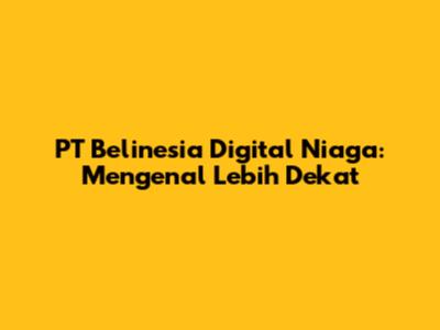 PT Belinesia Digital Niaga: Mengenal Lebih Dekat
