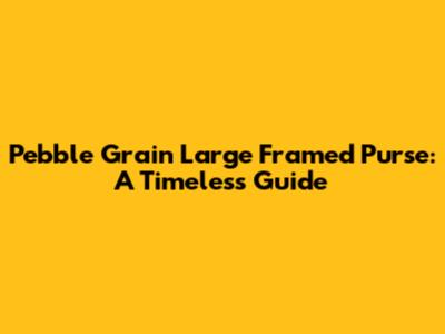 Pebble Grain Large Framed Purse: A Timeless Guide