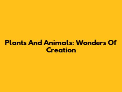 Plants And Animals: Wonders Of Creation