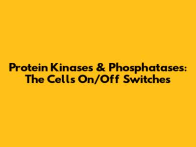 Protein Kinases & Phosphatases: The Cell's On/Off Switches