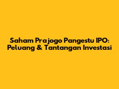 Saham Prajogo Pangestu IPO: Peluang & Tantangan Investasi