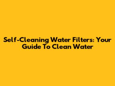 Self-Cleaning Water Filters: Your Guide To Clean Water