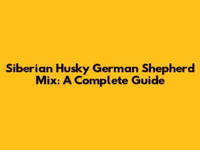 Siberian Husky German Shepherd Mix: A Complete Guide