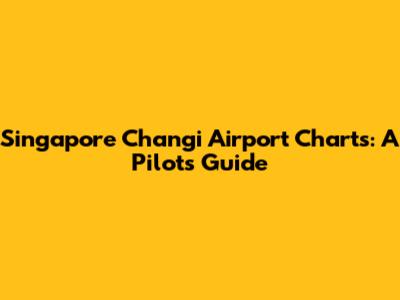 Singapore Changi Airport Charts: A Pilot's Guide