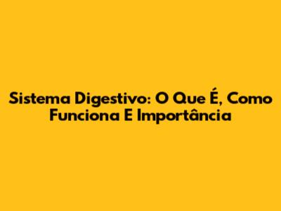 Sistema Digestivo: O Que É, Como Funciona E Importância