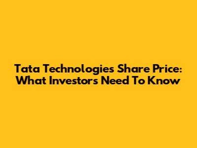 Tata Technologies Share Price: What Investors Need To Know