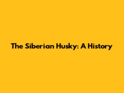 The Siberian Husky: A History