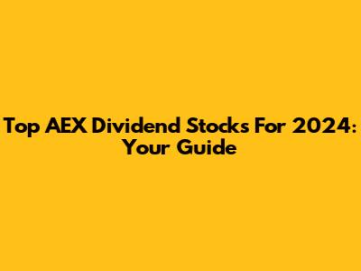 Top AEX Dividend Stocks For 2024: Your Guide