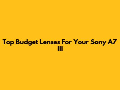 Top Budget Lenses For Your Sony A7 III