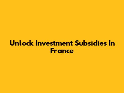Unlock Investment Subsidies In France